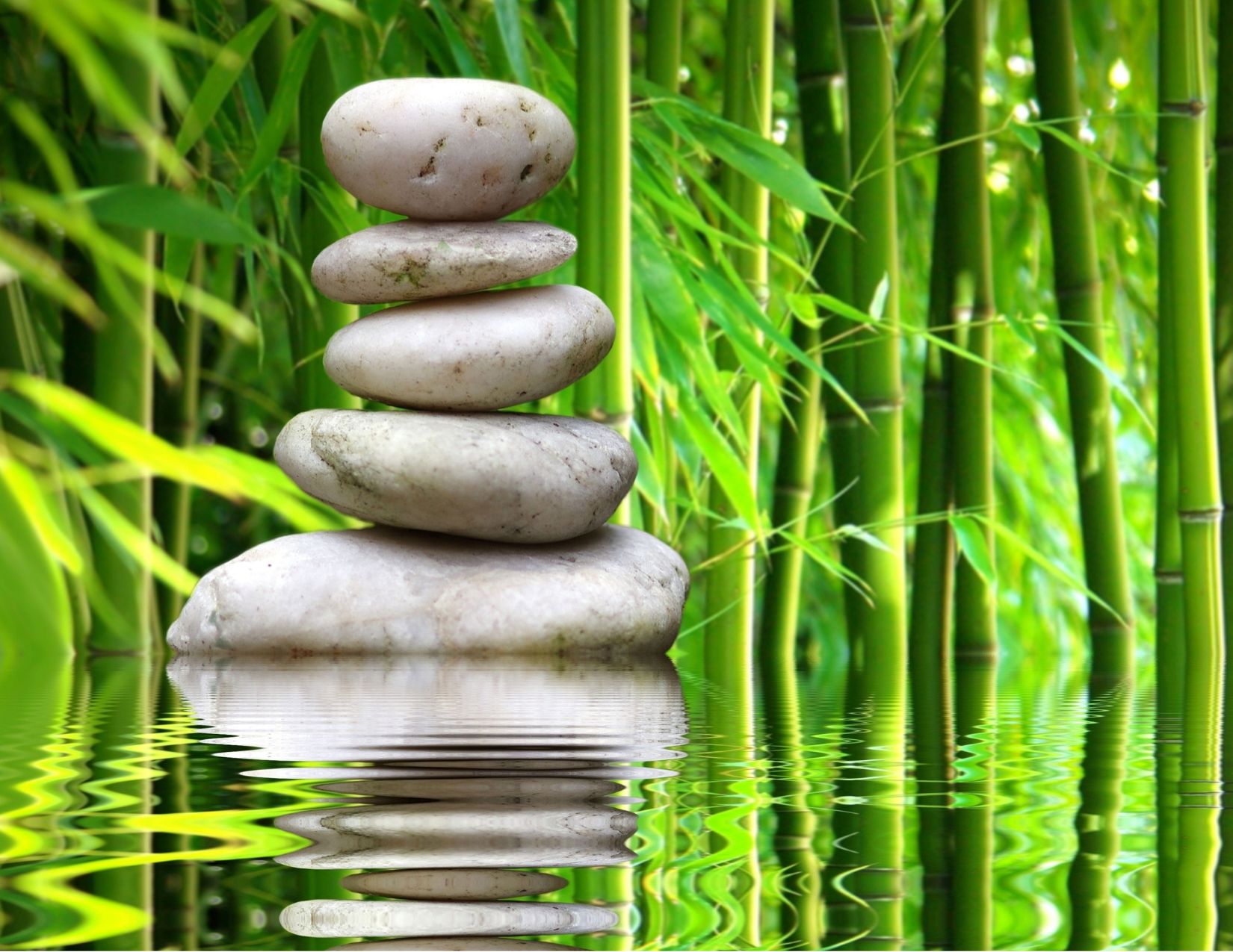 Calm and balanced rocks in bamboo